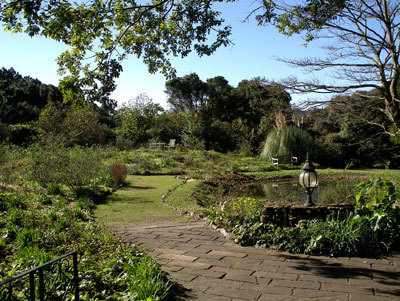 IMGP0012.jpg