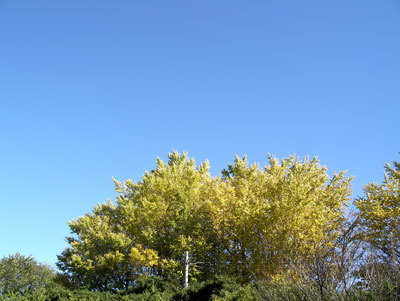 IMGP0016.jpg
