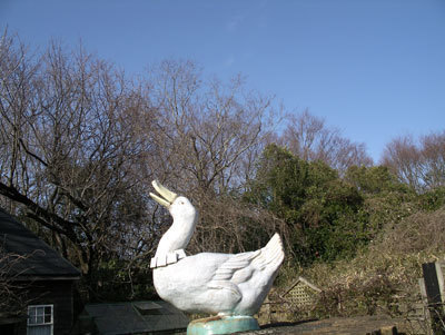 IMGP0098.jpg