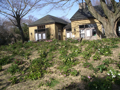 IMGP0100.jpg