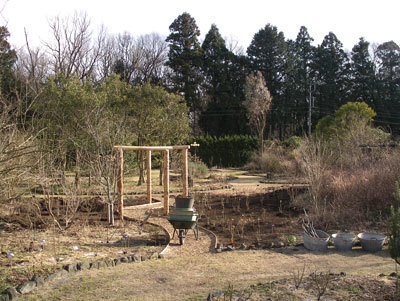 IMGP0103.jpg