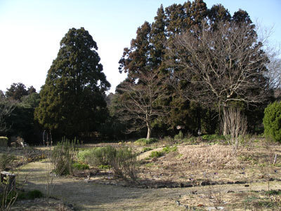 IMGP0108.jpg