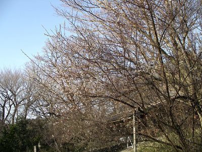 IMGP0117.jpg