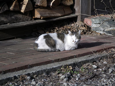 IMGP0119.jpg