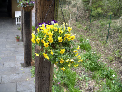 IMGP0253.jpg