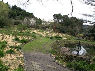 IMGP0263.jpg