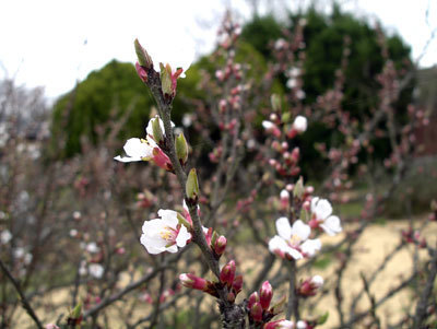 IMGP0270.jpg