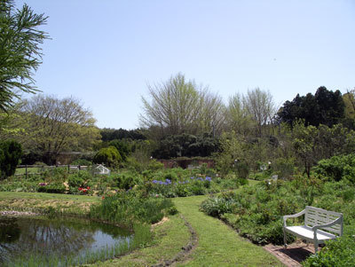 IMGP0305.jpg