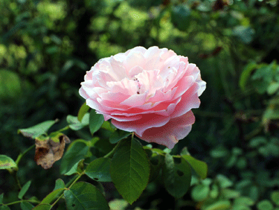 IMG_1891.gif