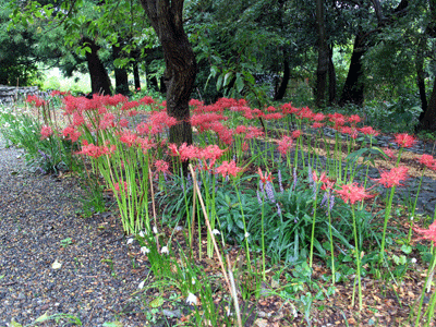 IMG_1953.gif