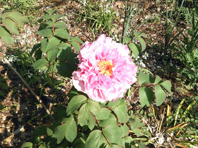 KIMG0111.jpg