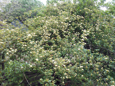 KIMG0124.jpg