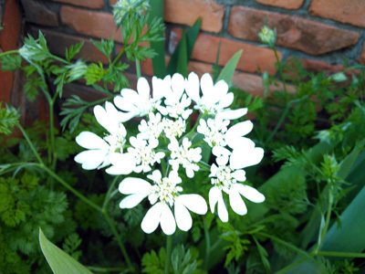 KIMG0127.jpg