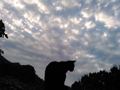 KIMG0467.gif