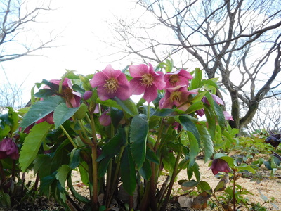 DSCN3901.JPG