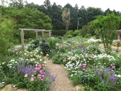 DSCN4268.JPG