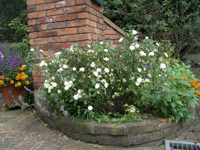 IMGP0024.jpg