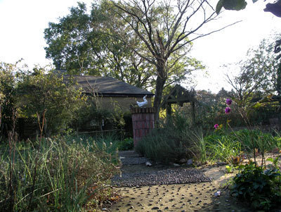 IMGP0029.jpg