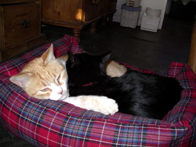 IMGP0034.jpg
