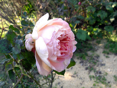 IMGP0048.jpg