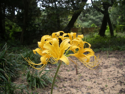 IMGP0124.JPG