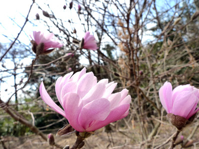 P1050201.jpg