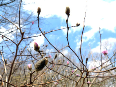 P1050203.jpg