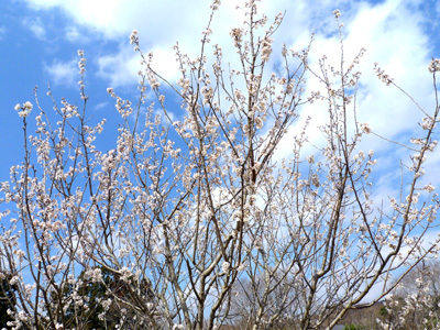 P1050217.jpg